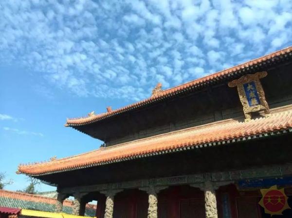 山东，历史底蕴与现代魅力的交汇之地探寻之旅