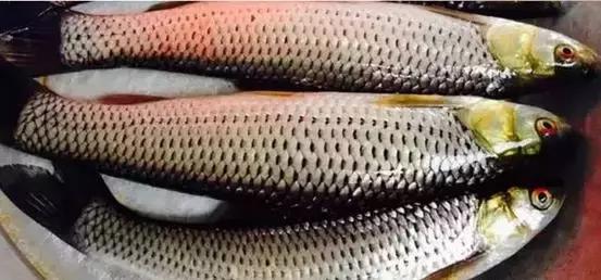 海南科技之光，高科技产品盛宴引领未来生活新潮流