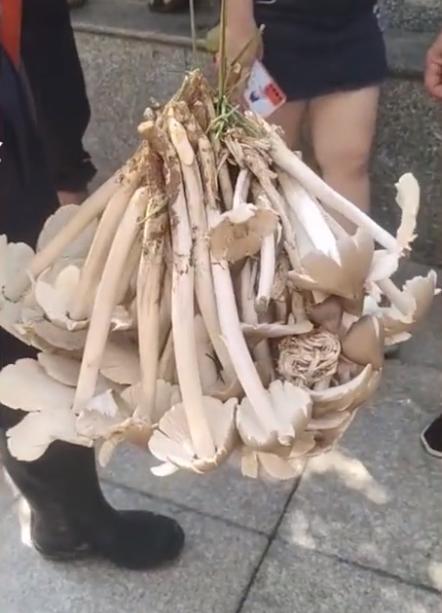 贵州——中国西南部璀璨的明珠