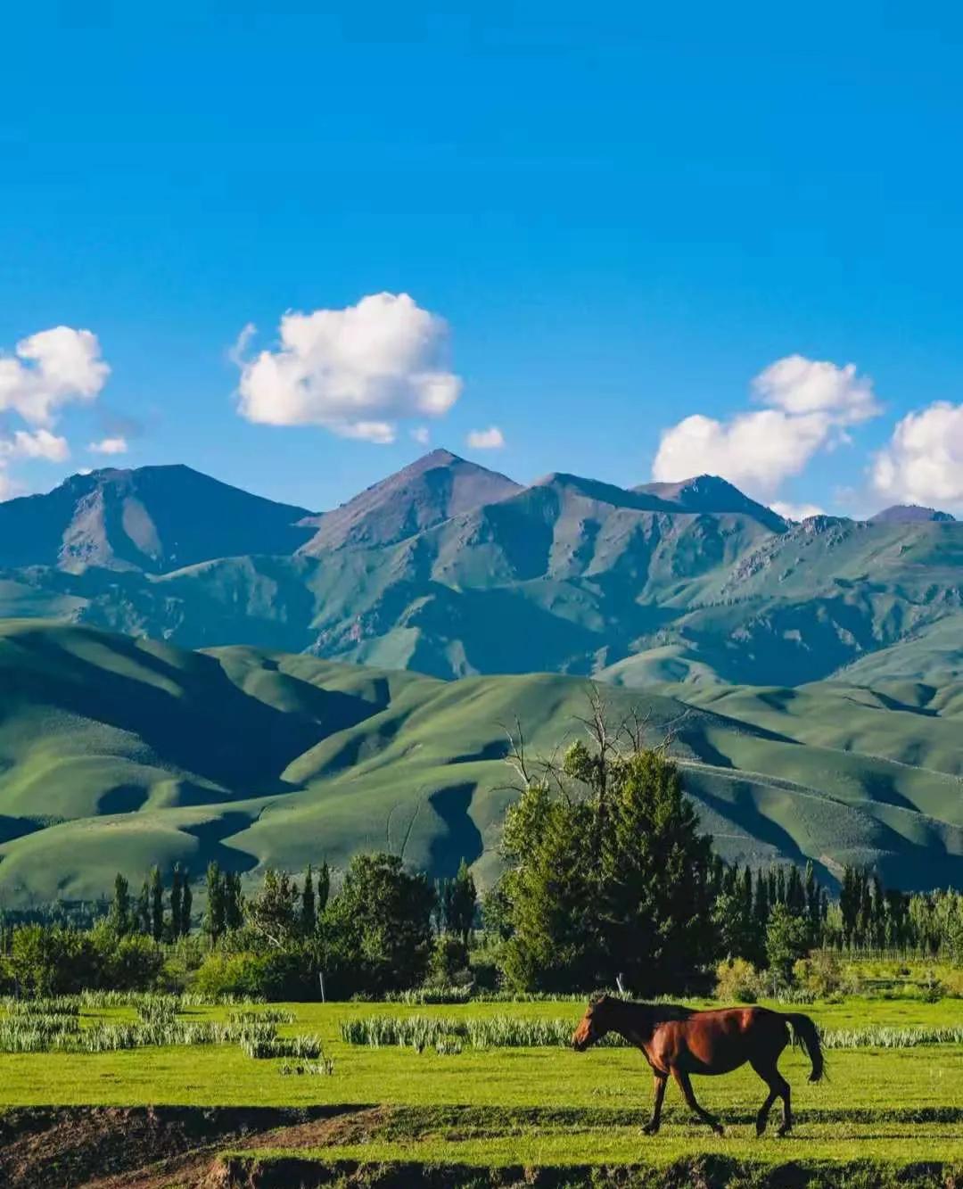 新疆之光，引领科技生活新纪元的领先高科技产品介绍